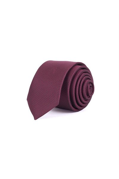 Tudors Thin Self-Patterned Men's Tie