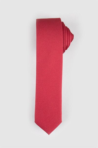 Tudors Self Patterned Plain Men's Tie