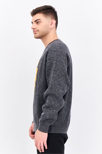 Champion Men Sportswear Fit Long Sleeves Outdoor Sweatshirt, Grey Heather