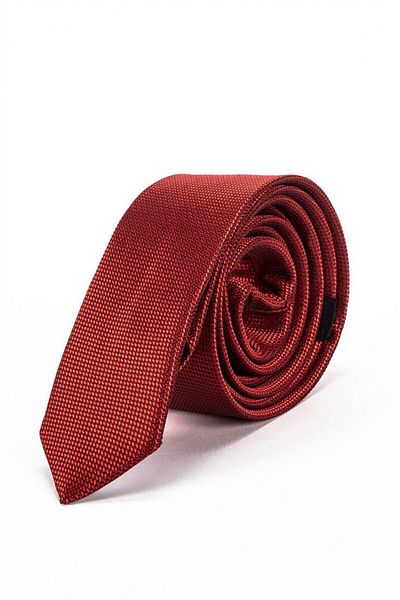 Tudors Thin Self-Patterned Men's Tie