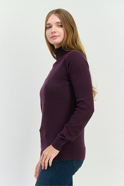 Sorbino Women High Neck Plain Long Sleeves Sweatshirt, Purple