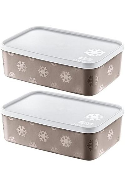 STOREMAX Sellbuystore Set of 2 No Frost Storage Container Terra 1600 ml 1053513