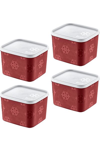 STOREMAX Mrttnca Set of 4 No Frost Storage Container Carmen 1250 ml Trndymrt 1087243
