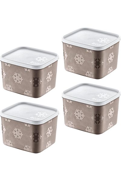 STOREMAX Sellbuystore Set of 4 No Frost Storage Container Terra 1250 ml 1053513