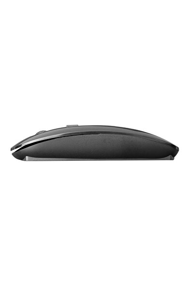 Everest Sm-781 Siyah Optik Nano Receive Kablosuz Mouse