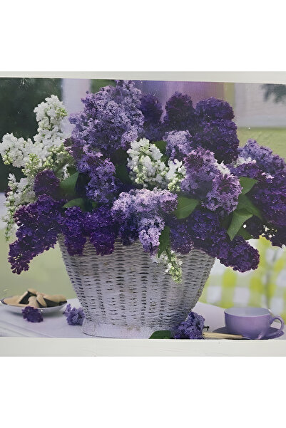 EleganTShoP 5D Yapışan Boncuk Goblen 30 x 40 cm Mozaik Tablo Pano 60517