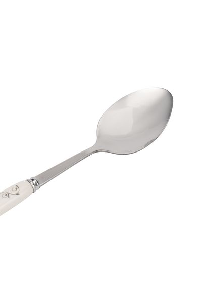 DELCASA DC1624 6Pcs Stainless Steel Dinner Spoon