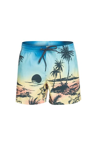 Quiksilver Men's Volley Short Paradise 15 m Jamv Yellow Men's Volley Short Eqyjv03999