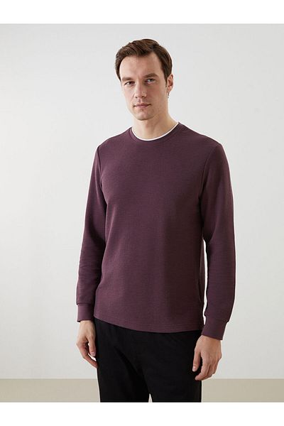 LC Waikiki Lcw Crew Neck Long Sleeve Men's Sweatshirt Fast Fashion