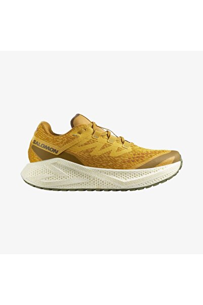 Salomon AERO GLIDE 3 GRVL Erkek Koşu Ayakkabısı Spicy Mustard L47812000