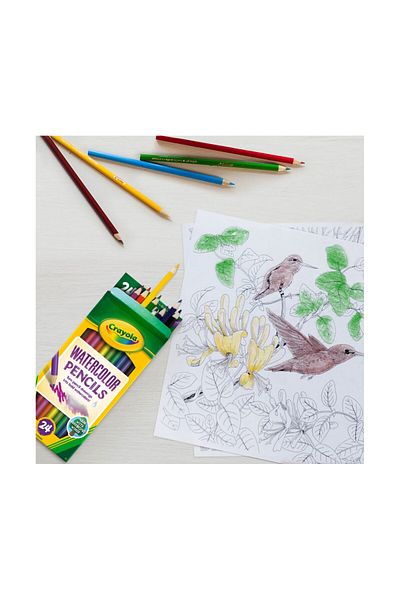 Crayola Colors Of The World 12ct Watercolor Pencils CY68-4302