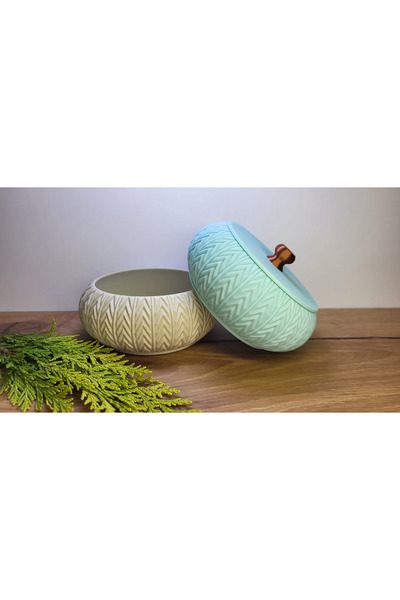 Aliz منظم تخزين المجوهرات المغلق 2 عبوة