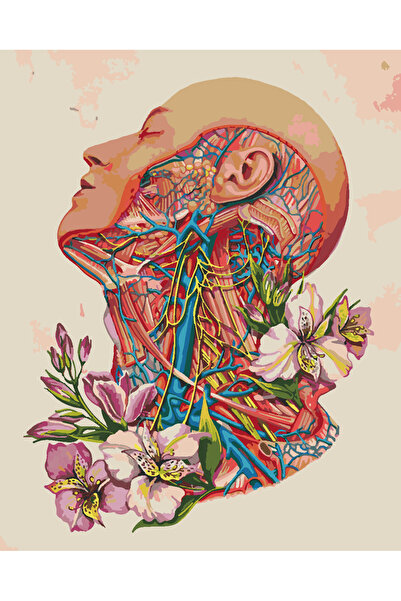 wombhobby Seni Gördüğümde Sayılarla Boyama Seti 50x65 RULO ( ÇITAYA GERDİRİLM...