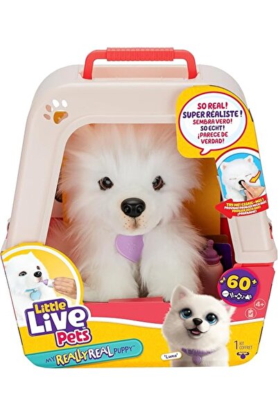 LITTLE LIVE PETS جروتي الحقيقية حقًا - لونا