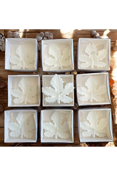 ERSE HOME 10 Adet Beyaz Kraft Kutu İçinde Çınar Yaprağı Mum, Nikah Şekeri, Do...