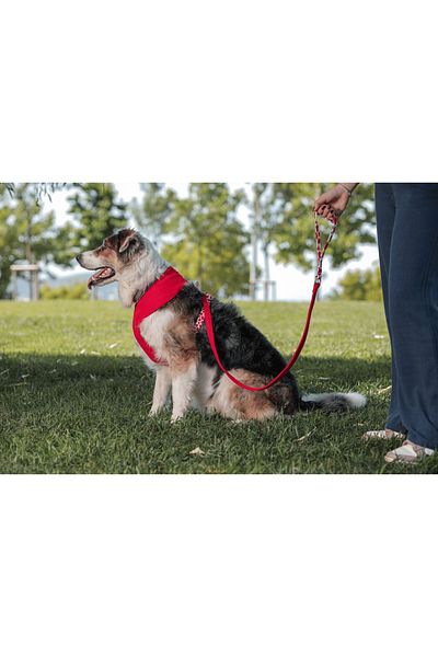 GoPawGo Soft Valentine Dog Chest Collar Set