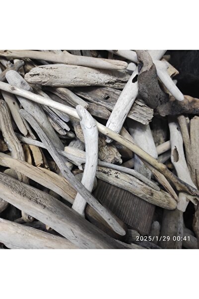 Marangozi Driftwood 20 Parça Karışık