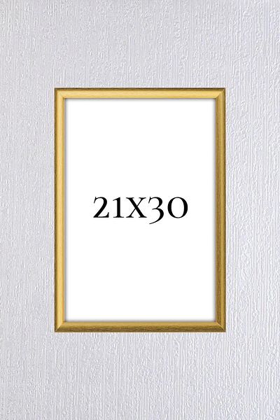 arel sanat A4 Diploma Frame - 21X30 Documents and Serfitika License