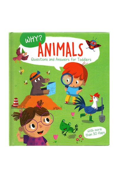 Yoyo Books Why Animals