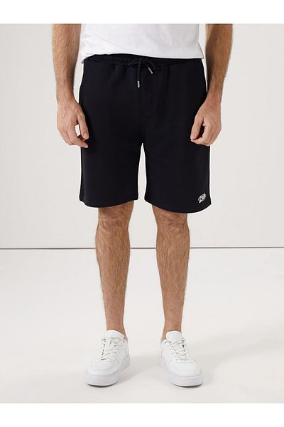LC Waikiki Standard Fit Men's Shorts