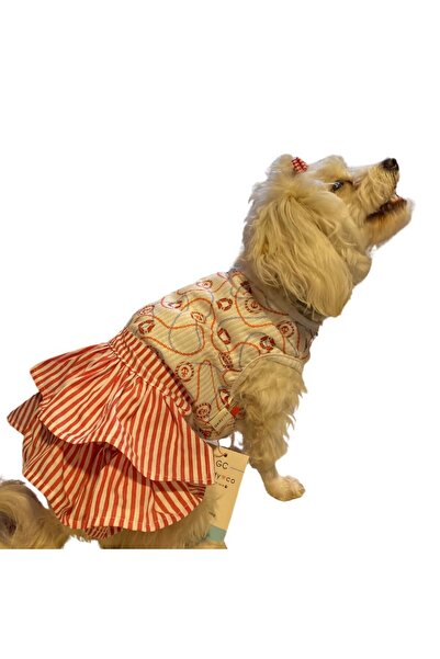 GedyCo Navy Small Breed Dog Dress