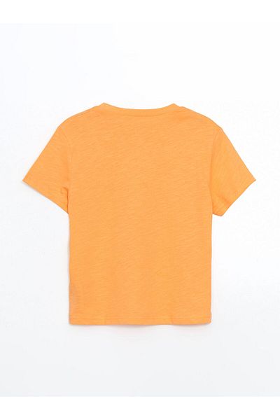 LC Waikiki Sari Crew Neck Basic Boy's T-Shirt
