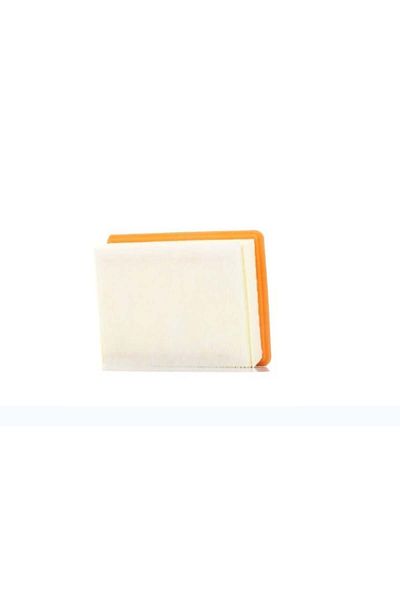 Naspar Air Filter Part No.: 1444Tf