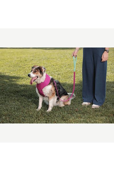 GoPawGo Candy Soft Dog Chest Collar Set