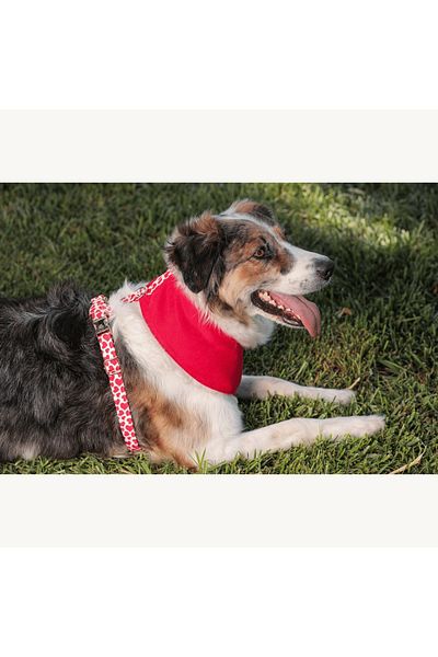 GoPawGo Soft Valentine Dog Chest Collar