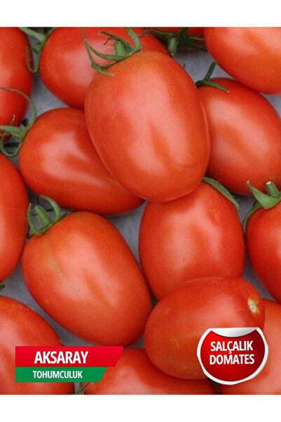 AKSARAY TOHUMCULUK Salçalık Domates Tohumu 25 Adet Tohum Aksaray Tohumculuk