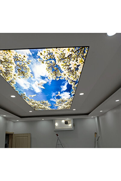 poster marketi Ağaç ve Gökyüzü Temalı Gergi Tavan | Doğal ve Ferah Görünüm