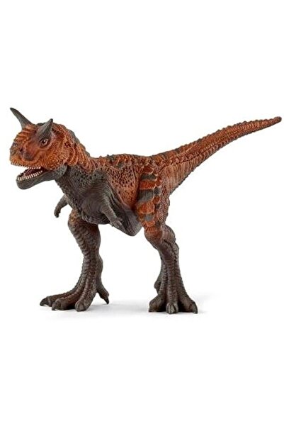 ToysAll Eğitici Oyuncak