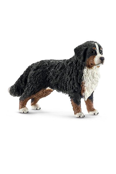 Dolu Schleich Bernese Female - 16397 Model