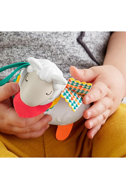 FISHER PRICE Eğlenceli Arkadaşlar Dişlik Ve Çıngıraklar Ghl23-fxc20