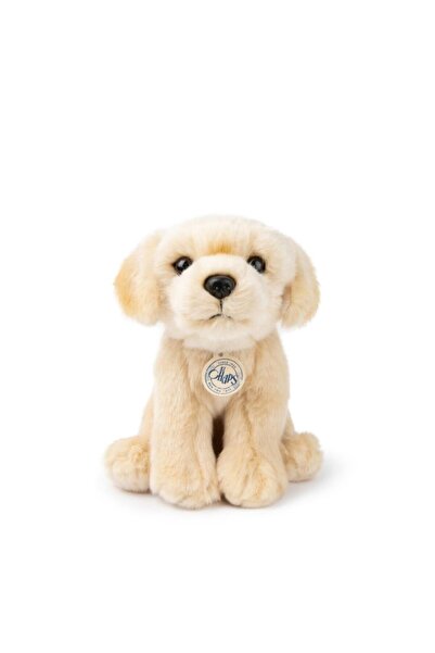 ToysAll Bon Ton Toys B.T. Chaps Loulou the Labrador Köpek Peluş Oyuncak 20 cm...