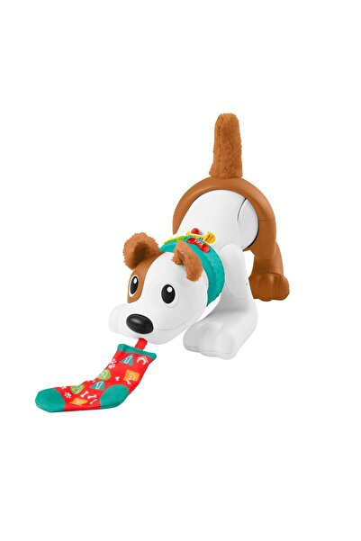 FISHER PRICE Emeklemeyi Ve Saymayı Öğreten Köpekçik Hhh13