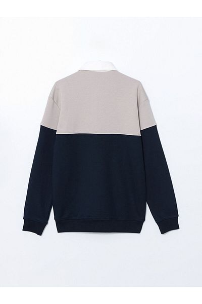 LC Waikiki Ανδρικό φούτερ LCW Vision Polo με μακρυμάνικο μπλοκ χρώματος