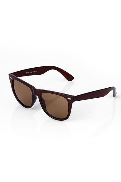 TomyHelf Brown Matte Glass Brown Bone Frame Unisex Sunglasses
