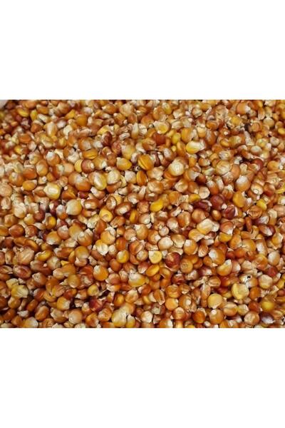 Karahasanoğlu Tarım Yerli Kokulu Köy Mısır Tohumu 1 KG