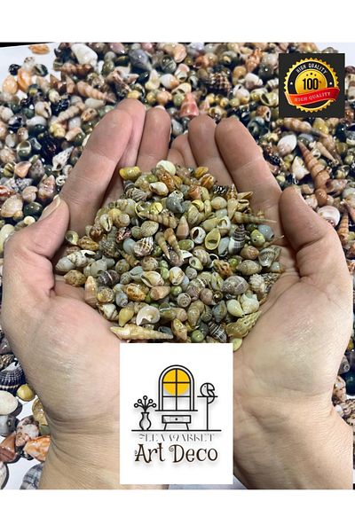 Artdeco Nassa Shell Real Tiny Seashells μέτρια. 250 τεμάχια - Χωρίς τρύπα - ( 0,30 - 1,50 mm )