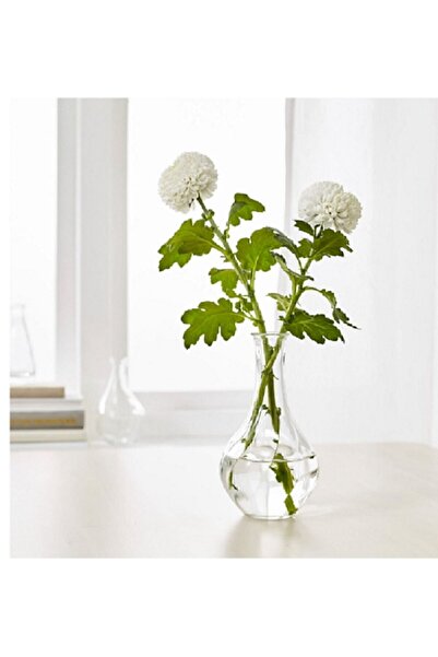 IKEA 2 Small Vases 1 Piece 17 cm 1 Piece 18 cm