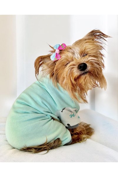 Kemique Minty Palm Kalın Penye Köpek Tulum Pijama