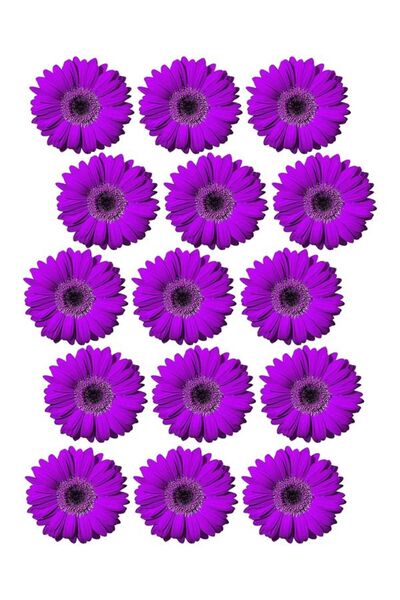 EyER Shoping باقة الفراشة ورق صور سميك لامع 220 جرام لباقة الأقحوان مقاس كبير...