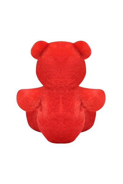 ZOA Big Size Red Plush Bear Valentine's Day Bear with I Love You Written 47cm