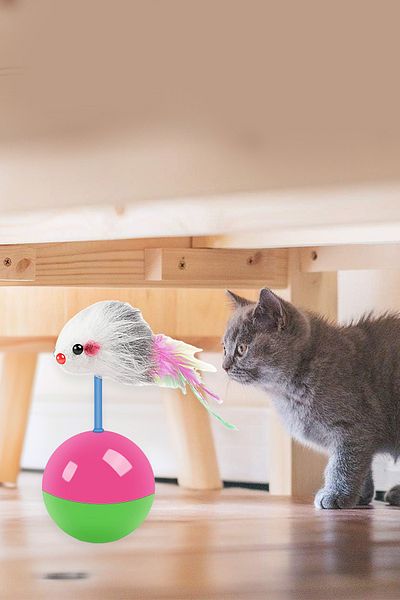 Fresh Moon Cat Mouse Toy Hacı Yatmaz Moving Cat Play Ball Chase Pet Supplies Pet Shop