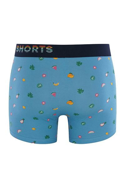 Phil & Co. Berlin Retro Pants All Styles Retro-boxer Retro-shorts Unterhose