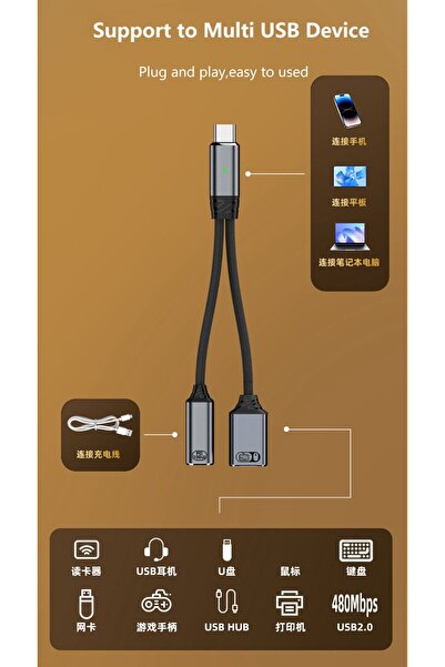 LivX 100W 2 in 1 Type C to USB 2.0 & Type C Hızlı Şarj Çevirici Dönüştürücü OTGCA