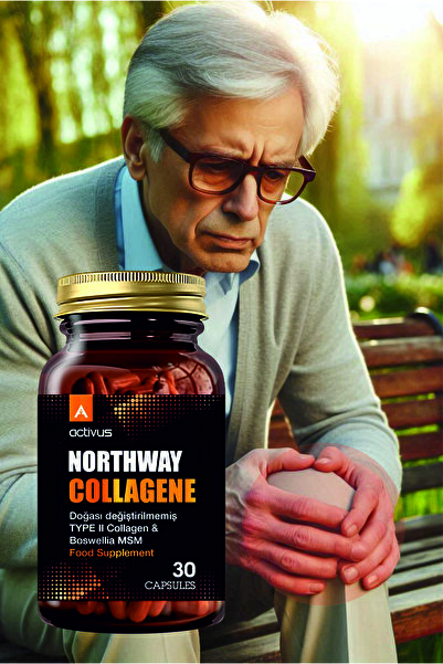 ACTİVUS Northway Collagen Type 2 Joint Support Full Support Methylsulfonylmethane Msm Type Ii Knee Elbow Wrist