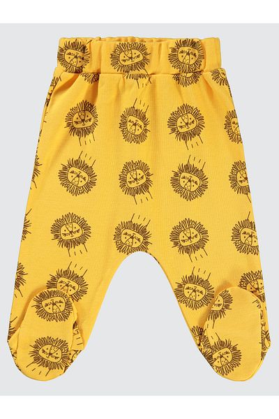Civil Baby 1-6 Months Baby Boy Mustard Color Booties Single Bottom