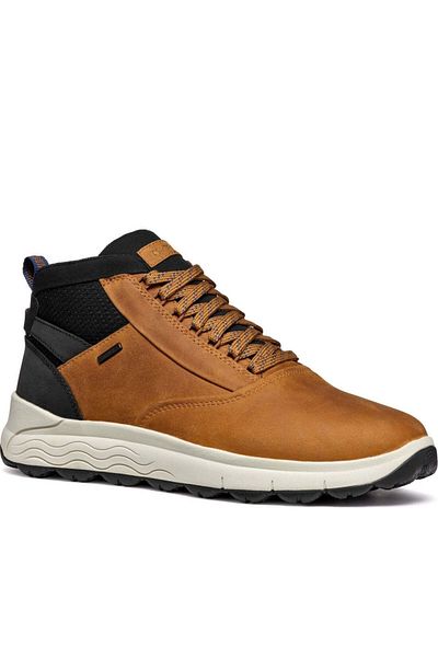 Geox Cizme maro Pantofi barbati